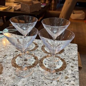 Clear plastic martini 🍸 glasses